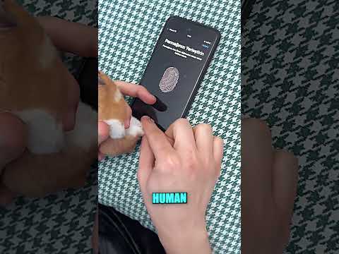 The Weirdest Way to Unlock a Phone 😂