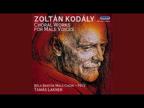 Fölszállott a páva