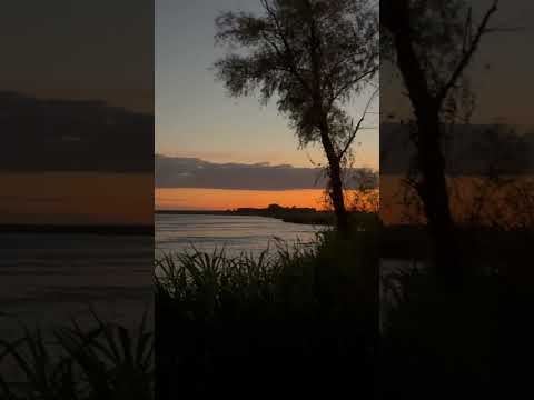 Villa Constitución - Santa Fe - Argentina🇦🇷 #fishing #viral #shorts