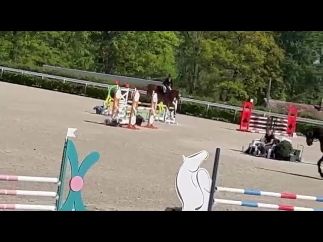 Jument jument 6 ans qualit&eacute; et &eacute;levage