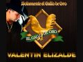 Tu Vanidad.-Valentin Elizalde