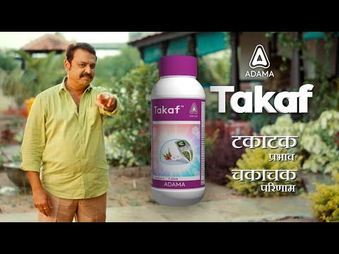 Adama Takaf Diafenthiuron 47% + Bifenthrin 9.4% SC Insecticide