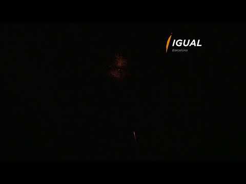 shell 100m / 4" ring with pistil