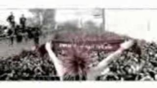 the casualties - on city streets.