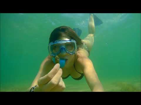 -Snorkeling Follonica-