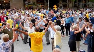 Sardana Catalan Dancing in the Cathedral Square, Barcelona