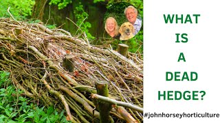 CREATE AN AMAZING WILDLIFE FRIENDLY HEDGE IN YOUR GARDEN!