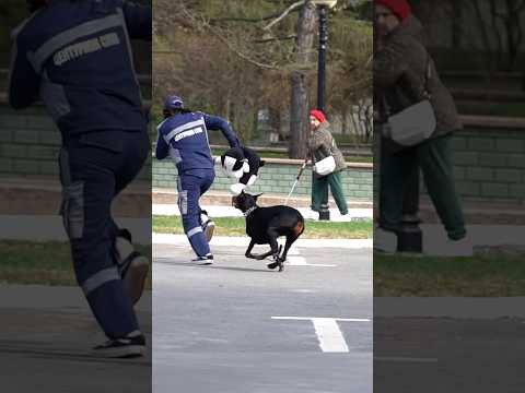 Собака напала на  китайца