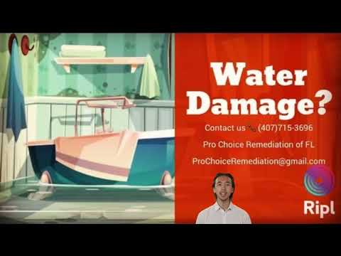 Videos from Pro Choice Remediation of FL