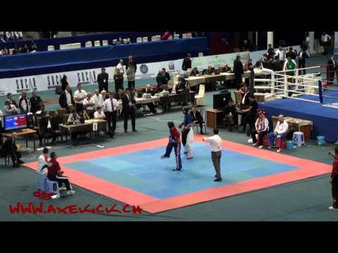 WAKO Kickboxing EC 2010: LC -94kg Final: Miskovic(CRO) vs Salugin(RUS)