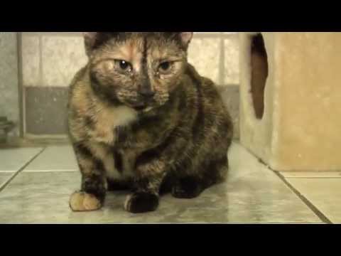 MEgional 2015 11 26 - Unsere Nachrichten für das Mittlere Erzgebirge