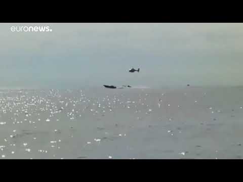 Al Safir X Chalo - La Lanxa (MacMarshall)