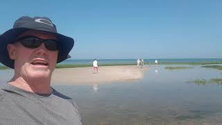 Wing's Island 1(1)