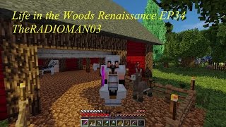 Life in the Woods Renaissance EP34 pt2 "Happy Animals"