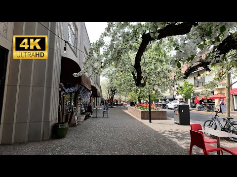 Day Walk in Picturesque Montclair, NJ [4K UHD]