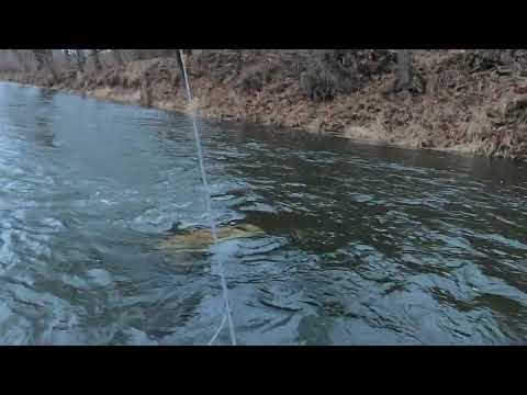 #80 Opening the 2022 season on "0". The story of Kwisa through my eyes :)