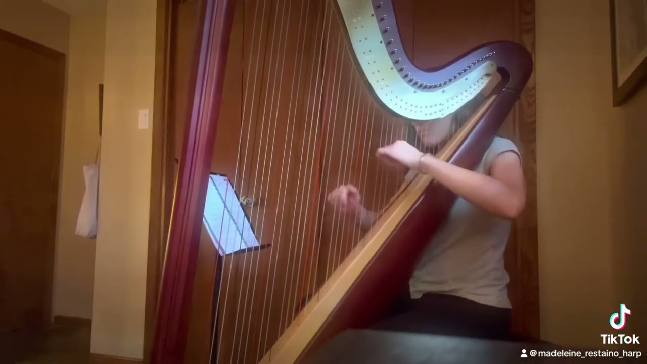 Promotional video thumbnail 4 for Madeleine Restaino Harpist