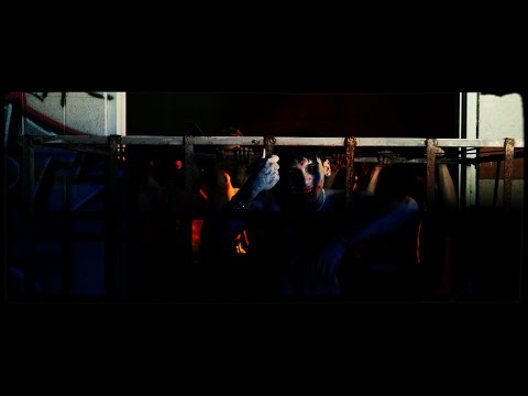 Bermofect 555🦋- Klaze (Official Video)