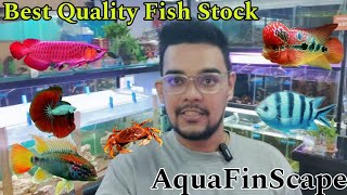 Best Quality Fish Stock | AquaFinScape