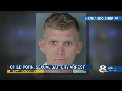 'A true monster': Hernando County man accused of sex crimes on numerous children