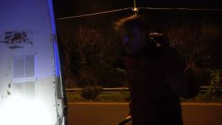 le-immagini-del-lupo-ferito-soccorso-ad-ariano-e-trasportato-a-napoli