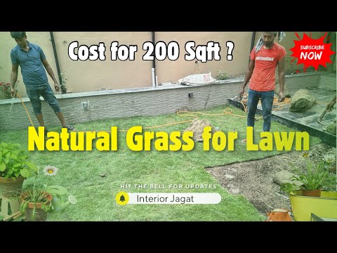 Natural Grass for Lawn | Full Installation & Cost Explained | Interior Jagat Kolkata 