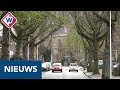 Geruzie over de kap van oude kastanjebomen in Sassenheim - OMROEP WEST