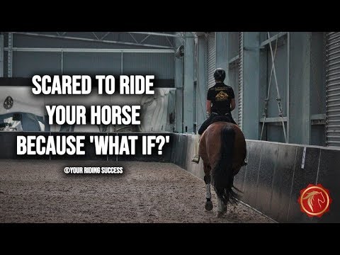 YouTube video about: What do horses do when they are scared?