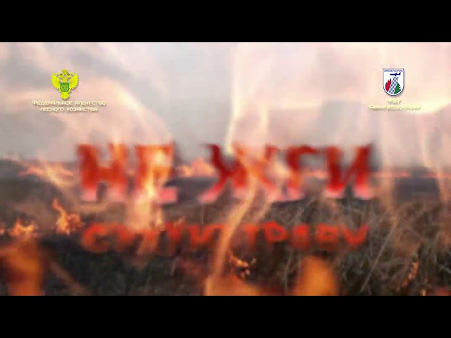 Берегите лес: Не жги сухую траву