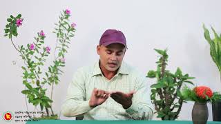 ইশারা ভাষায় মাইকেল মধুসূদন দত্তের বাড়ীর সংক্ষিপ্ত বিবরণ।