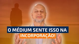 Todo Mundo Deveria Saber Isso Sobre Incorporação