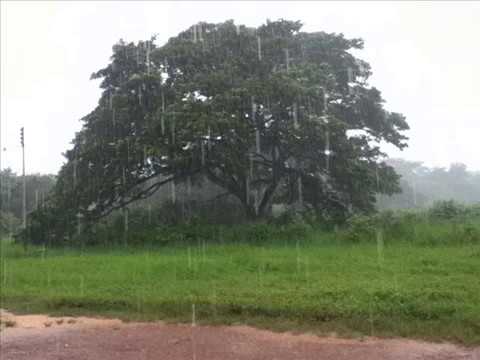 FG Las Primeras Gotas de Agua - Ángel Custodio Loyola