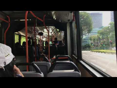 Mercedes-Benz O405G Voith Kickdowns - TIB1242U on 171