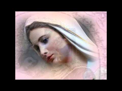 Traja O Céu - Músicas Católicas