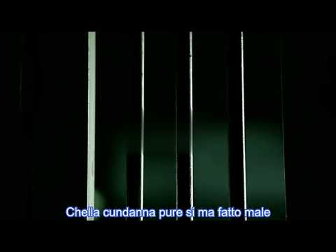 Tracy Apetto a te(Video Ufficiale 2023)