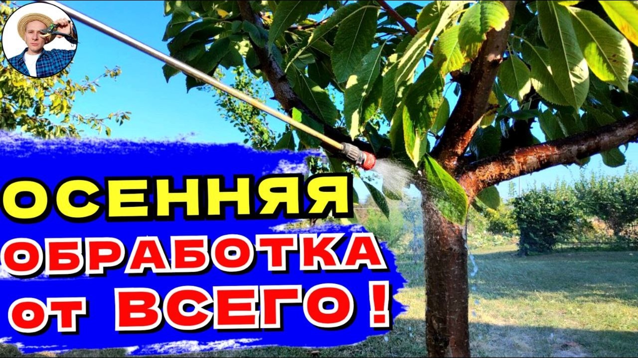 Как ПОДГОТОВИТЬ САД к ЗИМЕ: Советы и Хитрости
