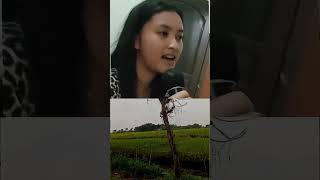 Download lagu CANTIKA DAVINCA - obati rinduku mp3 Download lagu CANTIKA DAVINCA - obati rinduku mp3