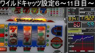 【ワイルドキャッツ】設定６～11日目～