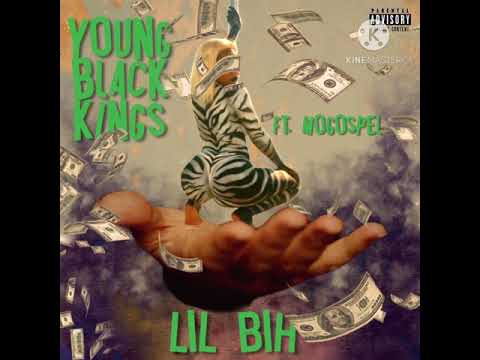 Young Black Kings- Lil Bih ft. Mogospel