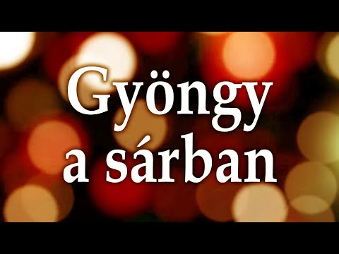 Rudolf R. Péter - Gyöngy a sárban (Echo Mix) | szöveges videó