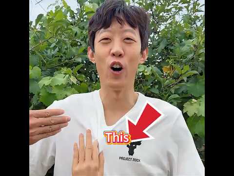 How do you beat the heat in the summer? 🥵🌞🍦#funny #fun #happy #funnyshorts #funnyvideo #shorts