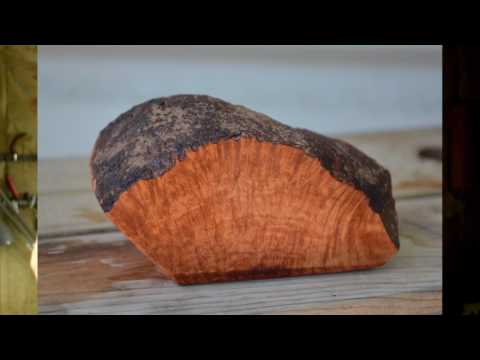 An introduction to Briar