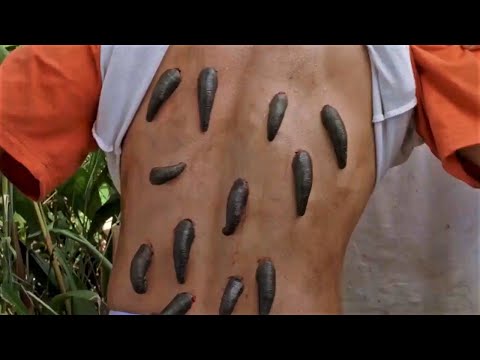 Anacondas 2 : Recouvert de sangsues