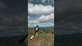 what a cute companion. #shorts #hiking #mountains #dog #dalat #vietnam #travel