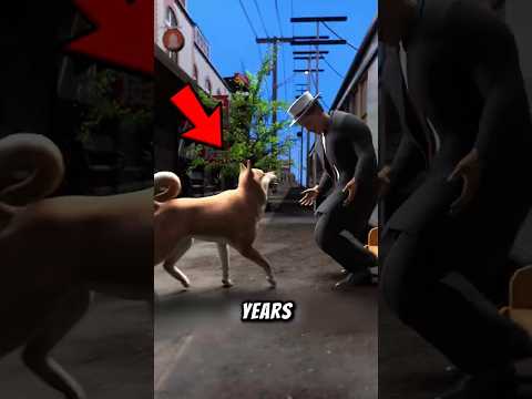 These Dogs Waited for Their Owners for Years😯❤️