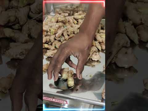 GARLIC PASTE BUSINESS /GARLIC AND  GINGER PASTE MAKING MACHINE / PASTE  MAKING MACHINE