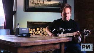 Video thumbnail for Blackstar Fly 3 & Fly 103 Demo by PromenadeMusicTV
