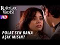 Polat Are You In Love With Me Valley Of The Wolves Episode 36