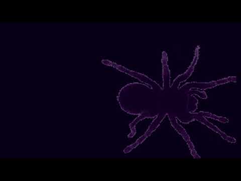Video thumbnail for JA TO JA