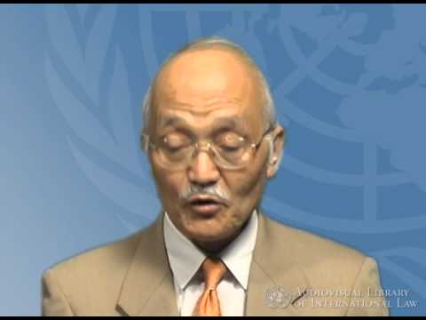 Nisuke Ando on the Human Rights Committee